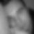 Profilbild von Petar Plivelic