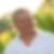 Profilbild von Peter Nekut