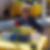 Profilbild von Annemarie Willems
