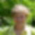 Profilbild von Erika Fischer