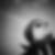 Profilbild von Gerald Hotz
