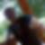 Profilbild von Mohamed Osman