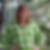 Profilbild von Cornelia Thalmayr
