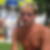 Profilbild von Edi Soucha