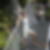 Profilbild von Nicole Gross