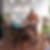 Profilbild von Johann Plass