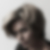 Profilbild von Claudia Winkler