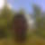 Profilbild von Walter Hnat