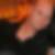 Profilbild von Michael Schrenk