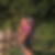 Profilbild von Vera Schlager