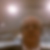 Profilbild von Alfred Gajdosik