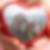 Profilbild von Cornelia Moser