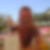 Profilbild von Bernhard Siber