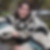 Profilbild von Martina Griessl
