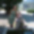 Profilbild von Constance Fill