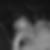 Profilbild von Thomas Harrer