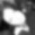 Profilbild von Nicole Rauter