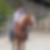 Profilbild von Leopold Stauffer