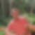 Profilbild von Albin Spitzer