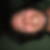 Profilbild von Anton Burdak