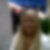 Profilbild von Claudia Geiger