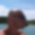 Profilbild von Thomas Hüttner