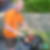 Profilbild von Rene Bernard