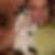 Profilbild von Markus Schwaninger