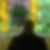 Profilbild von Wolfgang Kormann