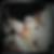 Profilbild von Maire Thorn