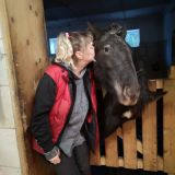 Profilfoto Andrea Maria Steiner Profilfoto von Andrea Maria Steiner