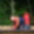 Profilbild von Dominic Maximilian Reischl