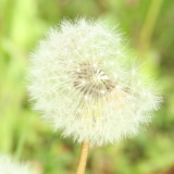 Profilfoto Claudia Gürtler Profilfoto von Claudia Gürtler