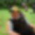 Profilbild von Michael Gross