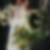 Profilbild von Evelyn Huber