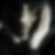 Profilbild von Iris Scharfy