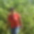 Profilbild von Roswitha Helmer