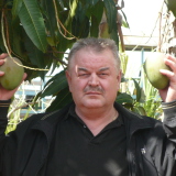 Profilfoto Zlatko Segrtovic Profilfoto von Zlatko Segrtovic