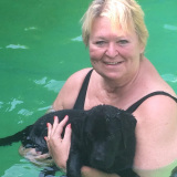 Profilfoto Elisabeth Faitlik Profilfoto von Elisabeth Faitlik