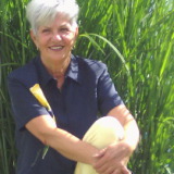 Profilfoto Helga Schicker Profilfoto von Helga Schicker