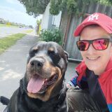 Profilfoto von Markus Lackner