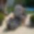 Profilbild von Walter Simak