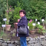 Profilfoto Gertrude Klinger Profilfoto von Gertrude Klinger