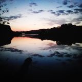 Profilfoto von Michael Ortner