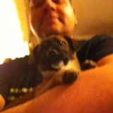 Profilfoto von Martin Krebs