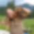 Profilbild von Martin Abel