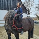 Profilfoto Andrea Steiner Profilfoto von Andrea Steiner