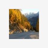 Profilfoto von Heidi Unterweger